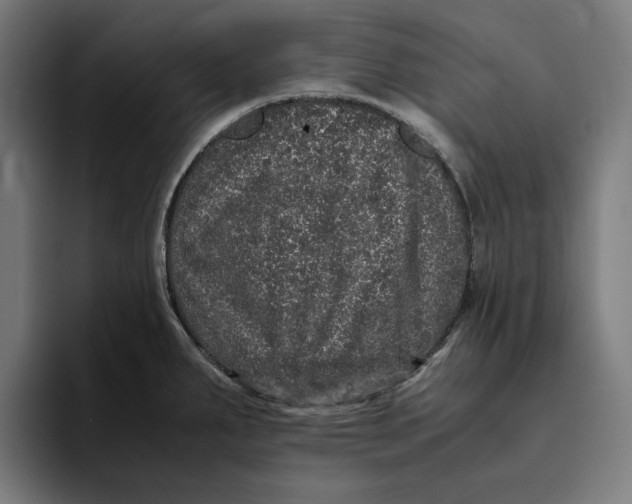 X0000094821287200712071238