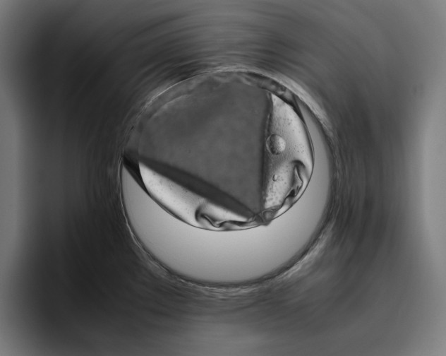 X0000094821289200712071238