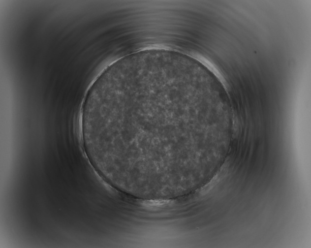 X0000094821290200712071238