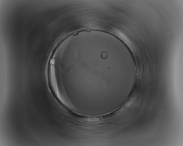 X0000094821291200712071238