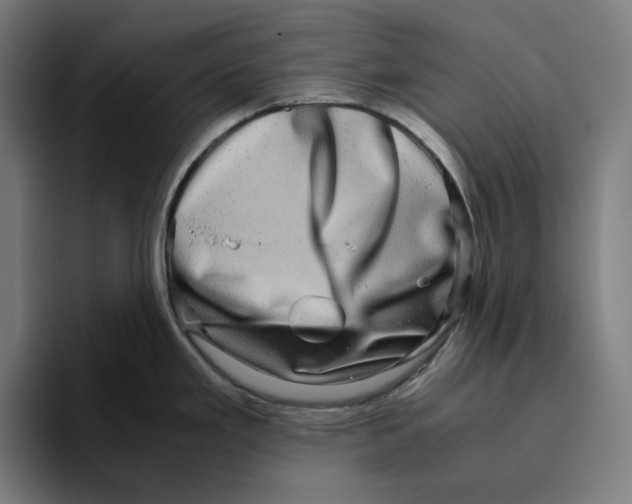 X0000094821293200712071238