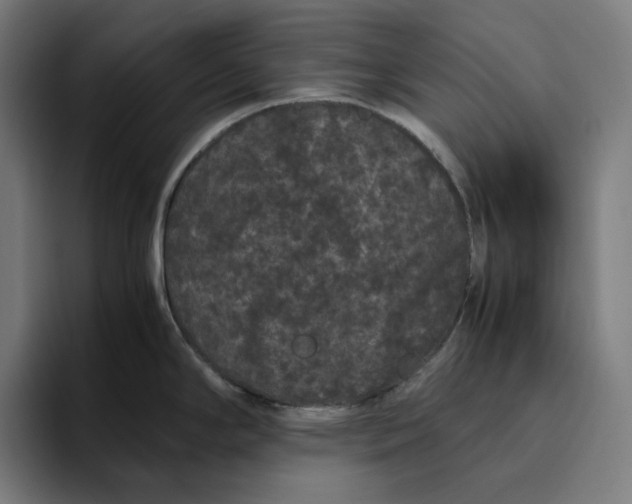 X0000094821294200712071238