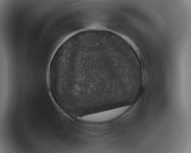 X0000094821295200712071238