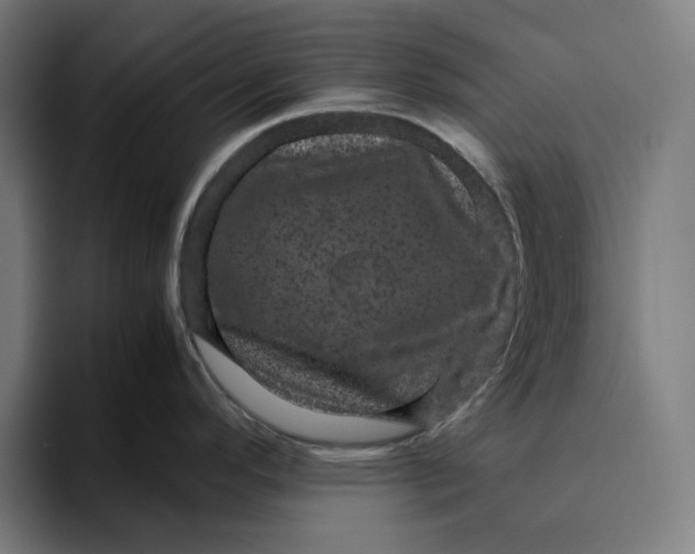 X0000094821296200712071238