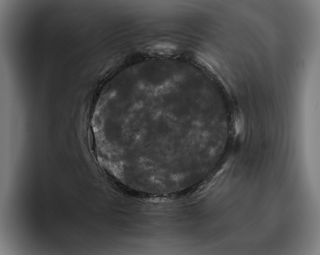 X0000094821297200712071237