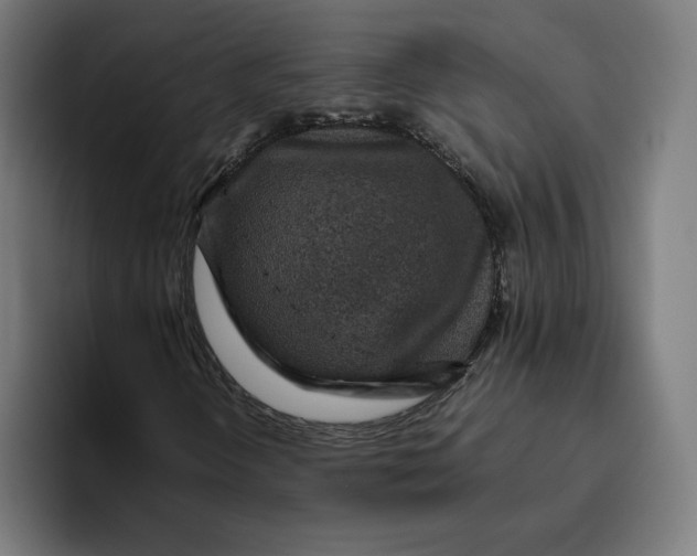 X0000094821298200712071237