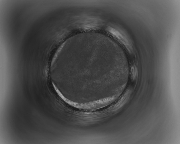 X0000094821300200712071237