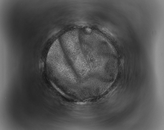 X0000094821302200712071237