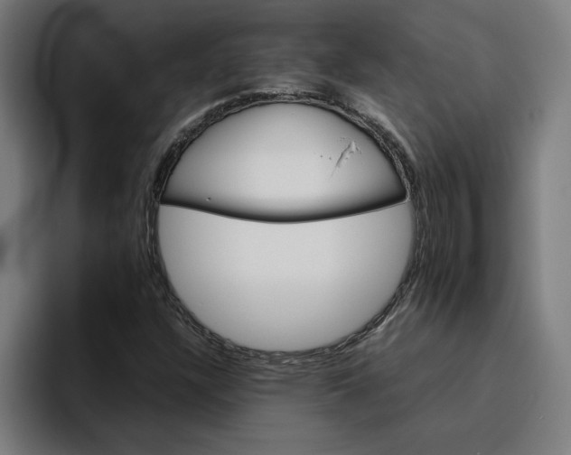 X0000094821304200712071238