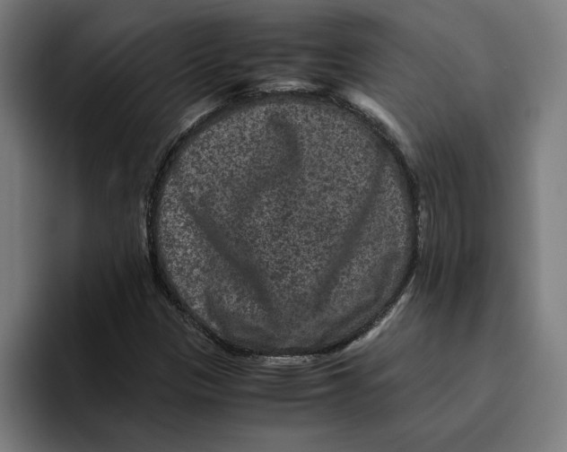 X0000094821305200712071238