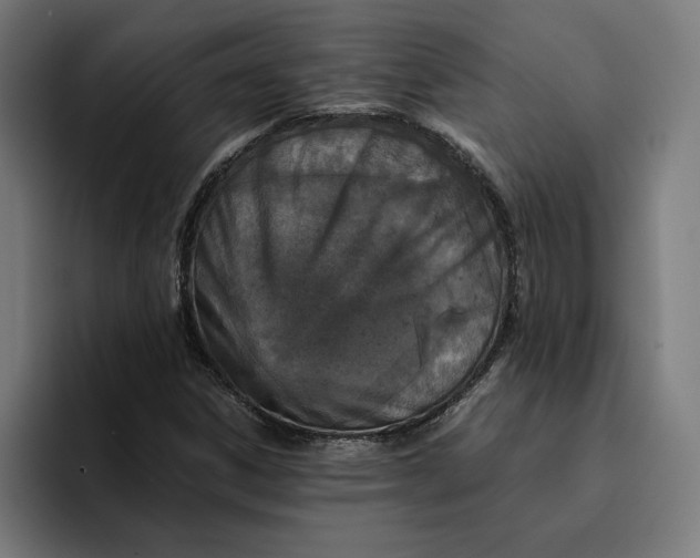 X0000094821306200712071238