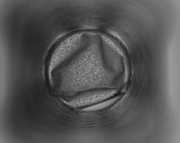 X0000094821307200712071238