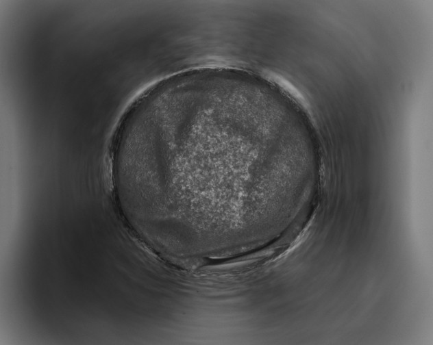 X0000094821310200712071238