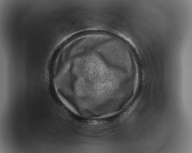 X0000094821311200712071238