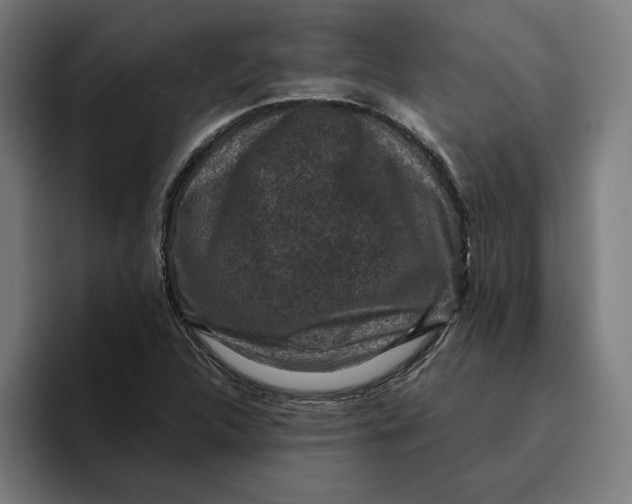 X0000094821312200712071238