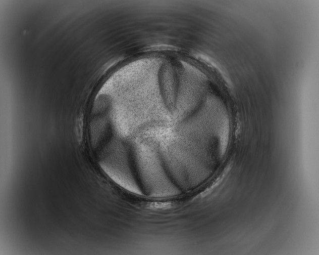 X0000094821313200712071238