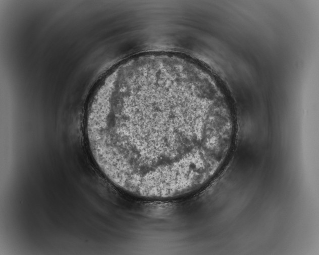 X0000094821314200712071238