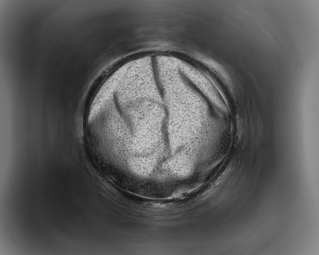 X0000094821318200712071238