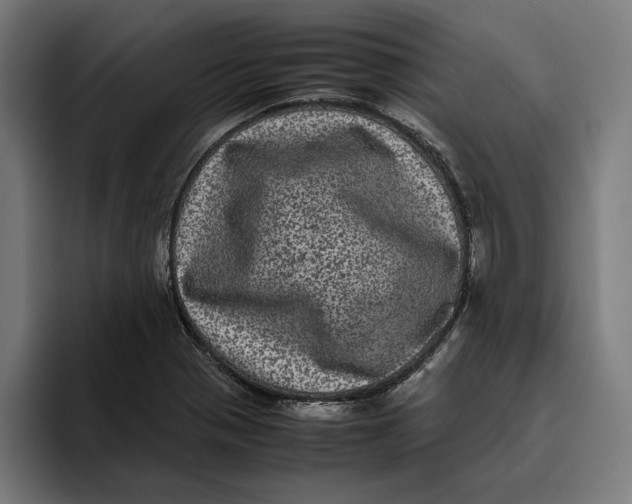 X0000094821321200712071238