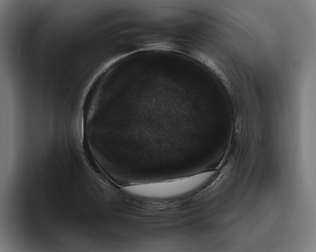 X0000094821323200712071238