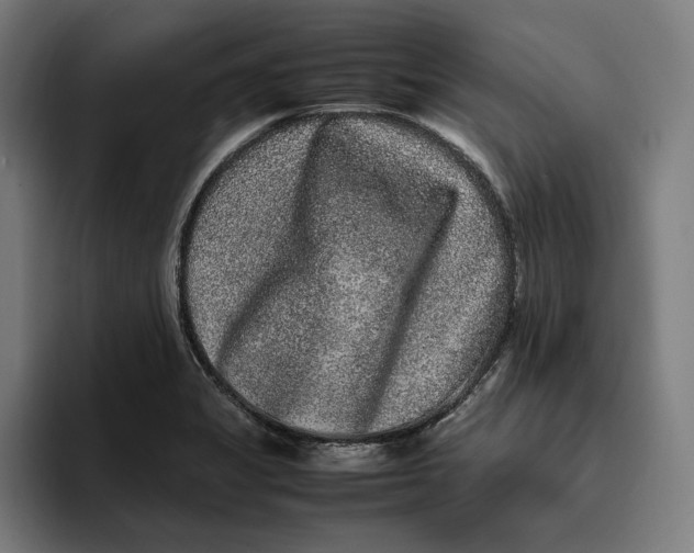 X0000094821325200712071238