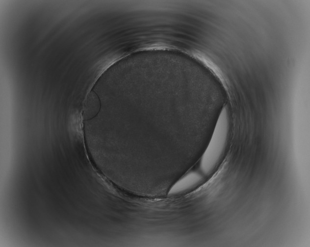 X0000094821329200712071238