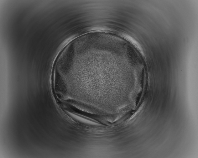 X0000094821330200712071238