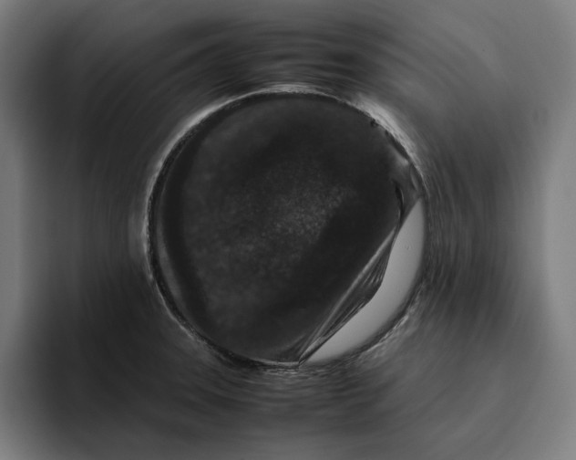 X0000094821331200712071238