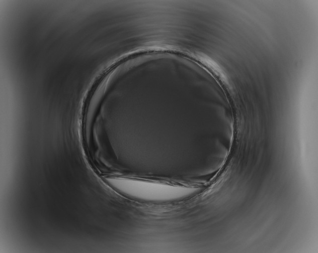 X0000094821334200712071238