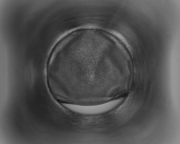 X0000094821335200712071238