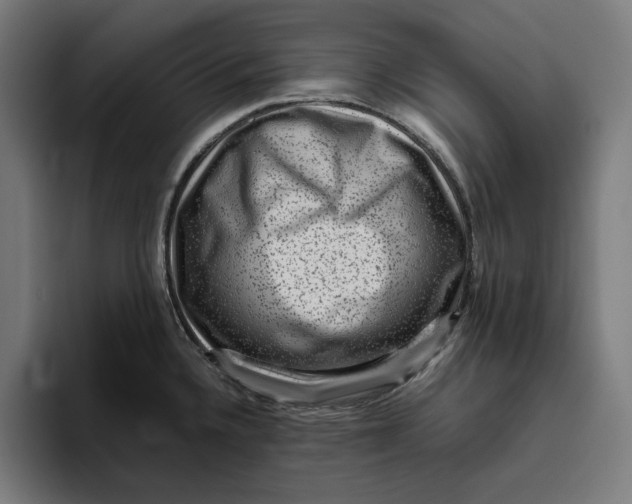 X0000094821336200712071238