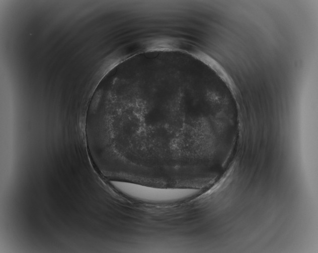 X0000094821337200712071238