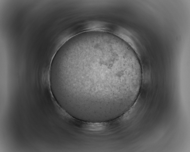 X0000094821338200712071238