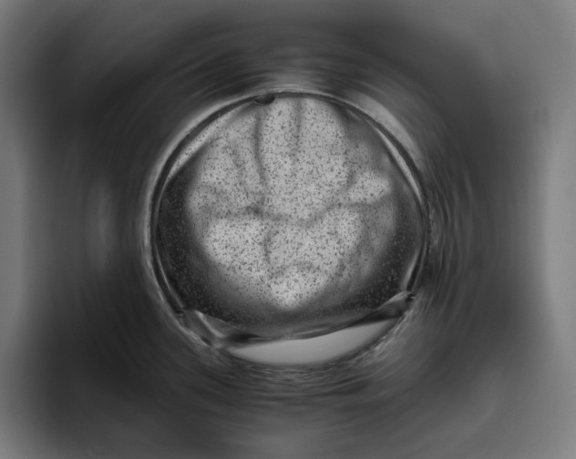 X0000094821339200712071238