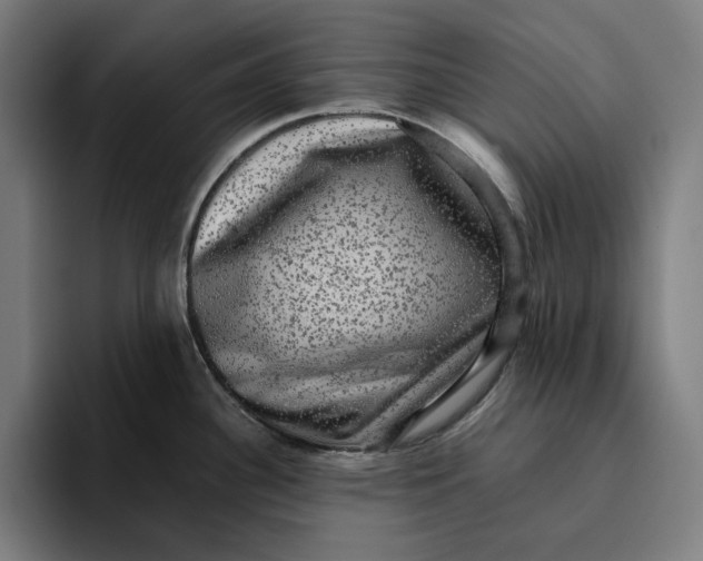 X0000094821340200712071238