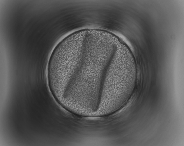 X0000094821343200712071238