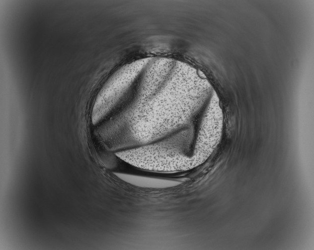 X0000094821345200712071237