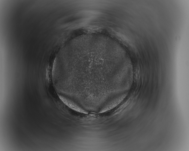 X0000094821346200712071237