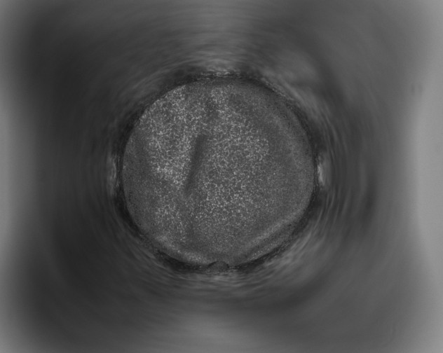 X0000094821347200712071237