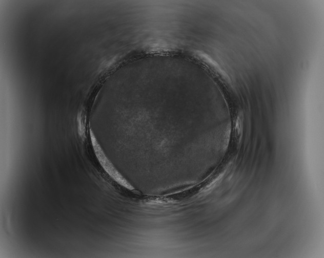 X0000094821348200712071237