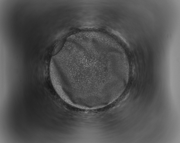 X0000094821350200712071237