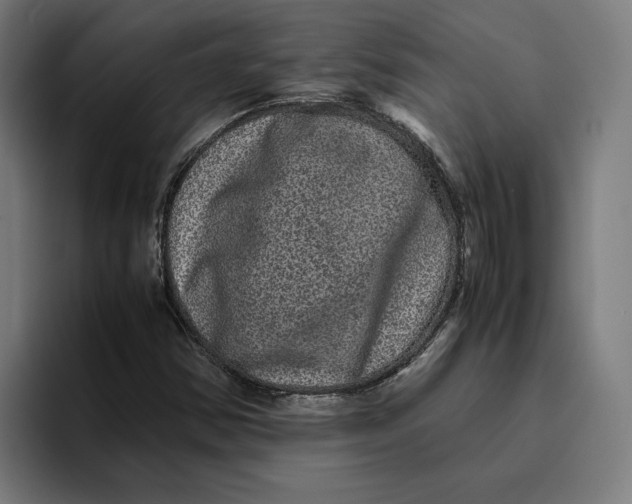 X0000094821354200712071237