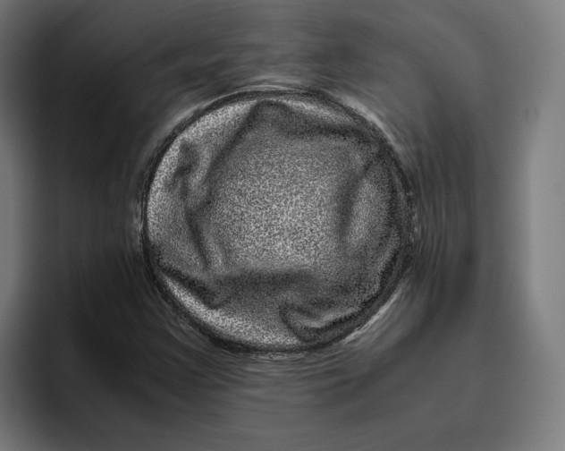 X0000094821355200712071237