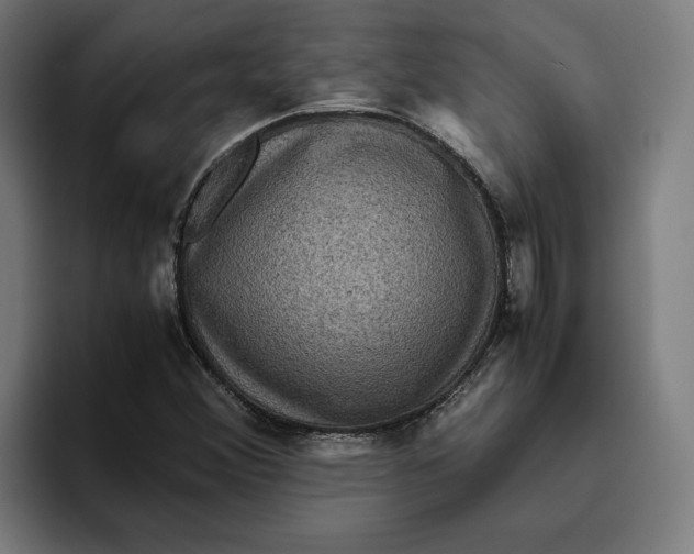 X0000094821356200712071237