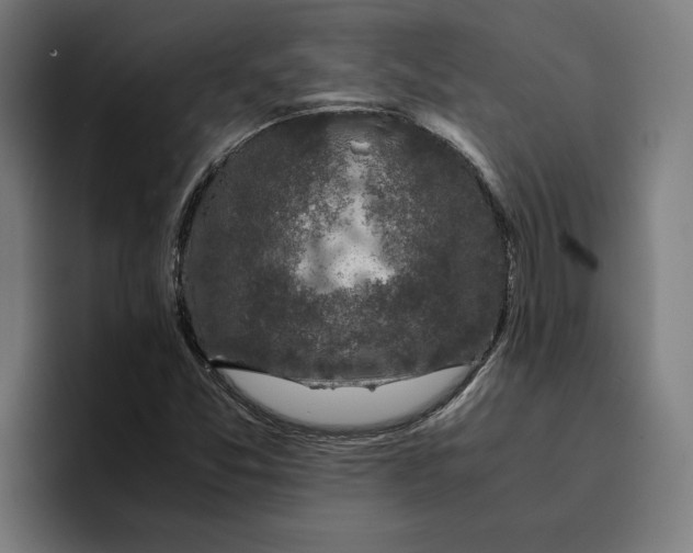 X0000094821357200712071237