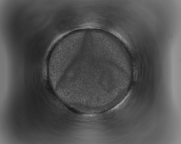 X0000094821358200712071237