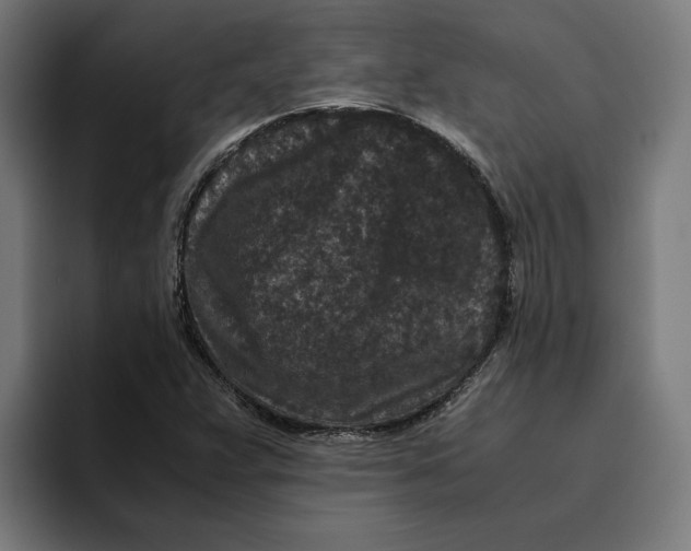 X0000094821359200712071237