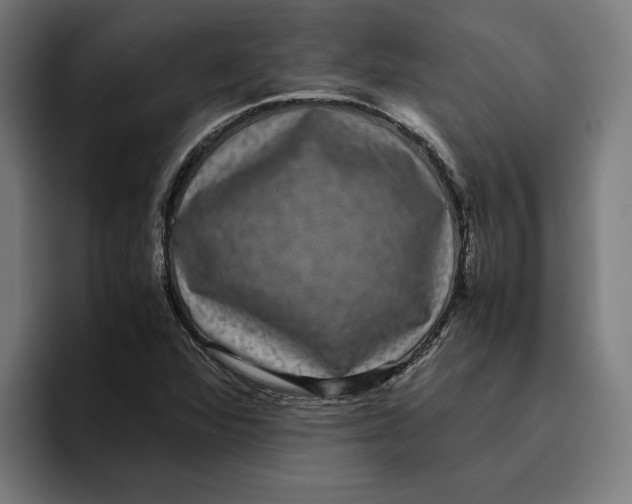 X0000094821360200712071237