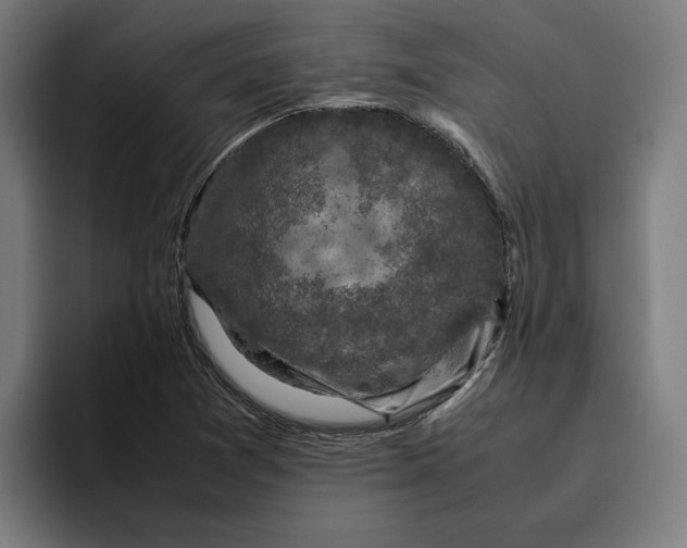 X0000094821361200712071237