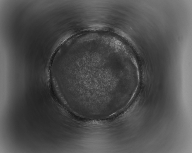 X0000094821362200712071237